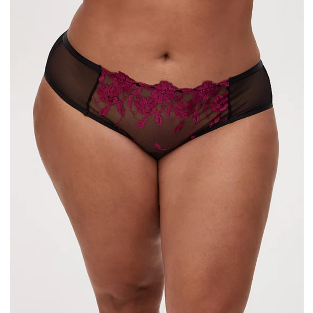 BLACK MESH & BERRY PINK EMBROIDERED HIPSTER PANTY